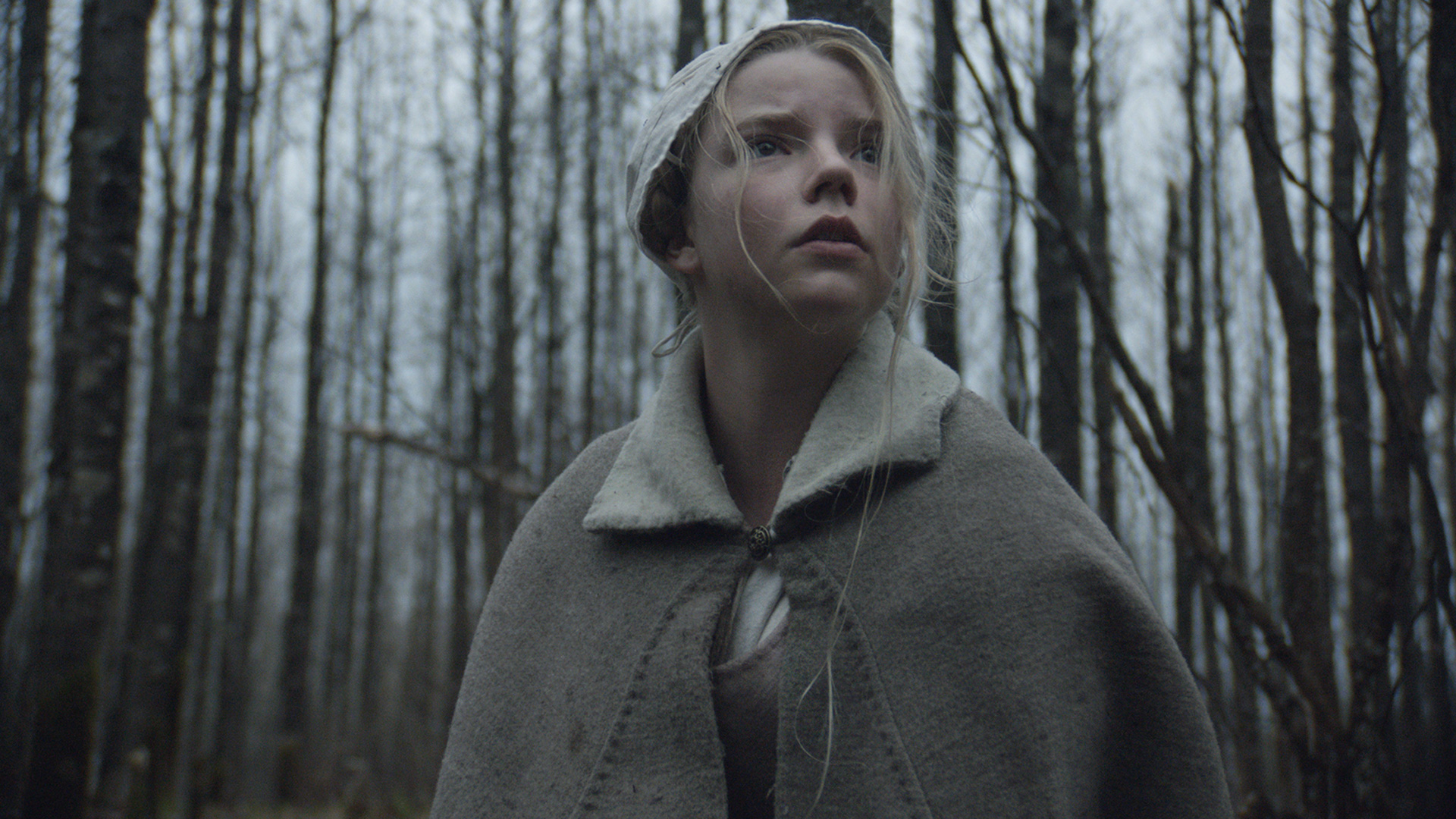 the witch movie review