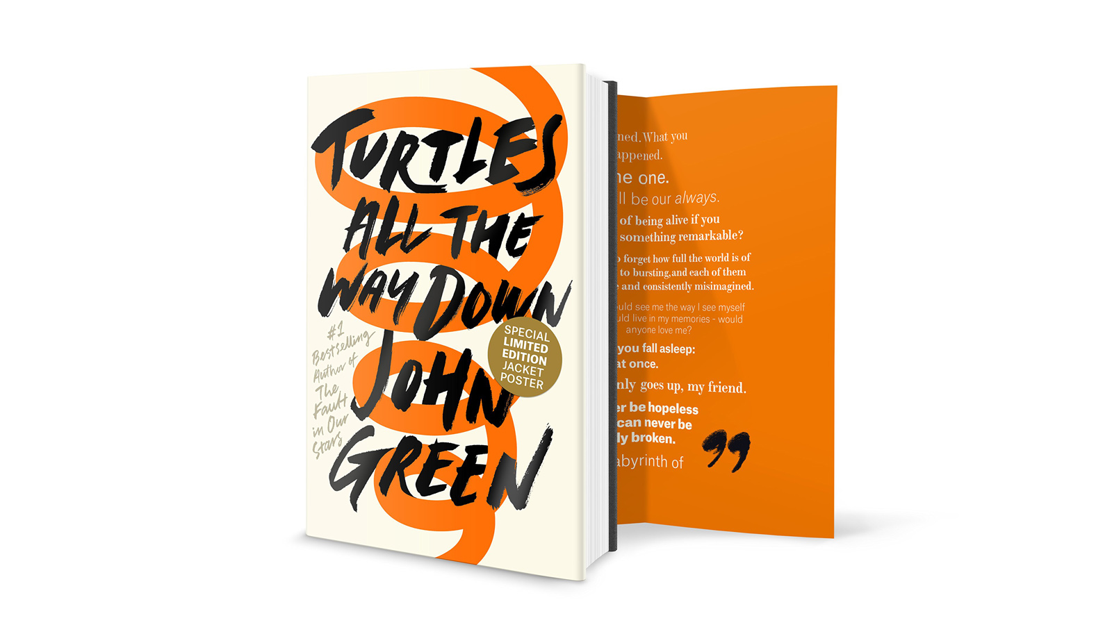Turtles All The Way Down Book Review