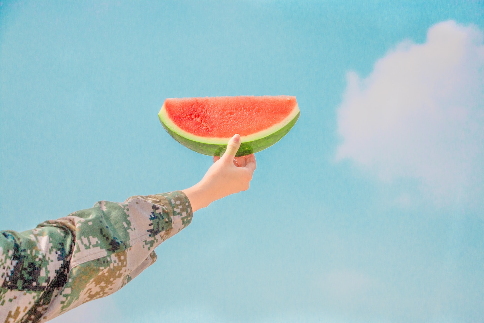 watermelon semangka