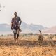 The Boy Who Harnessed the Wind Review