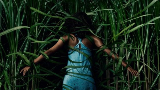 In The Tall Grass Review