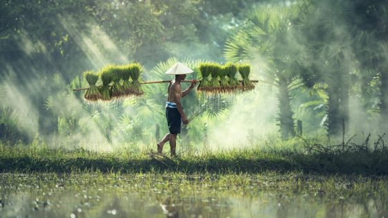 petani pertanian indonesia