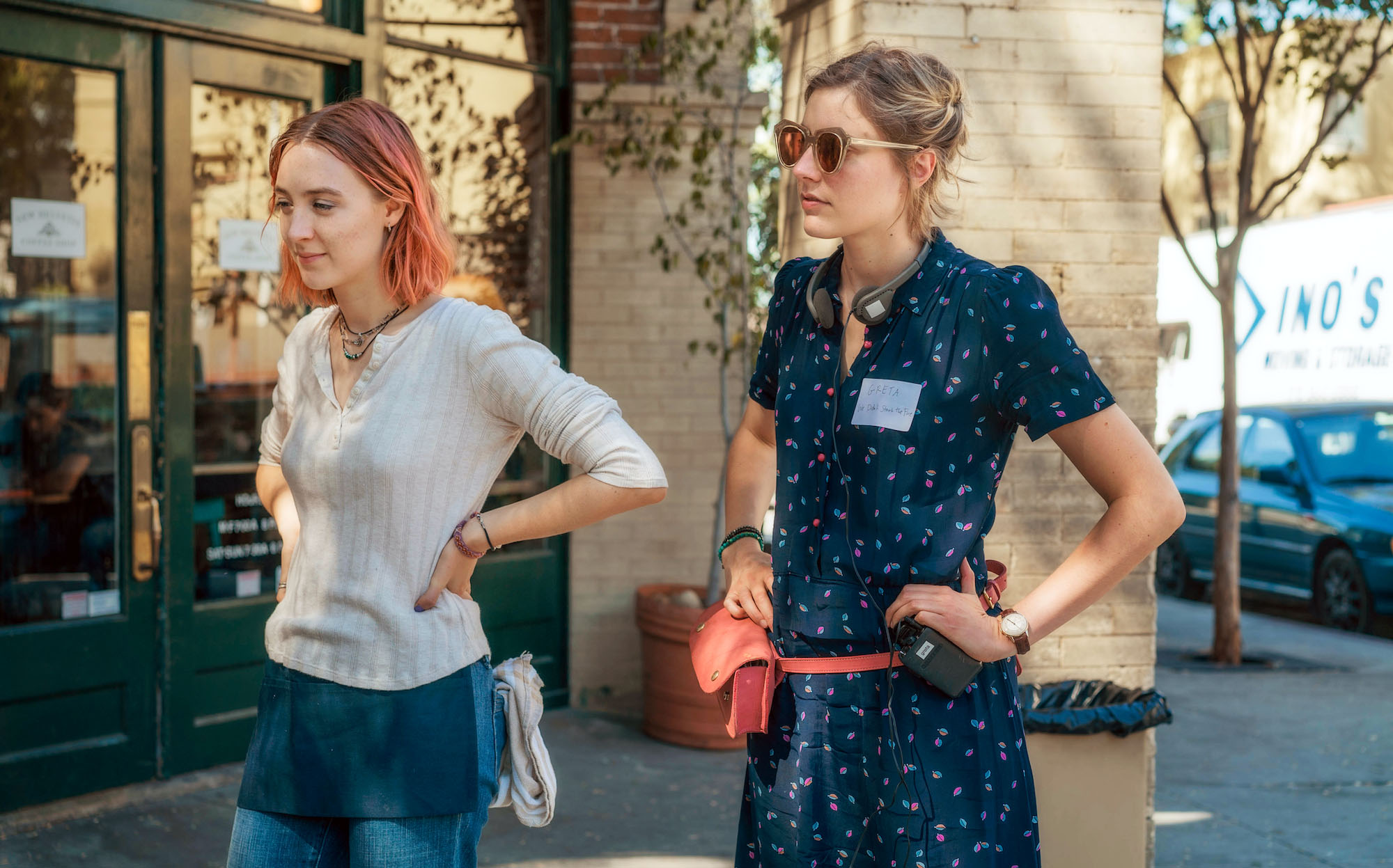 lady bird essay