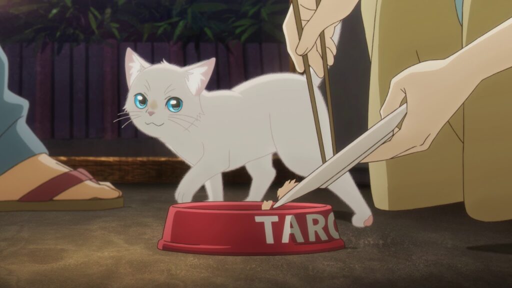 A Whisker Away A Whisker Away