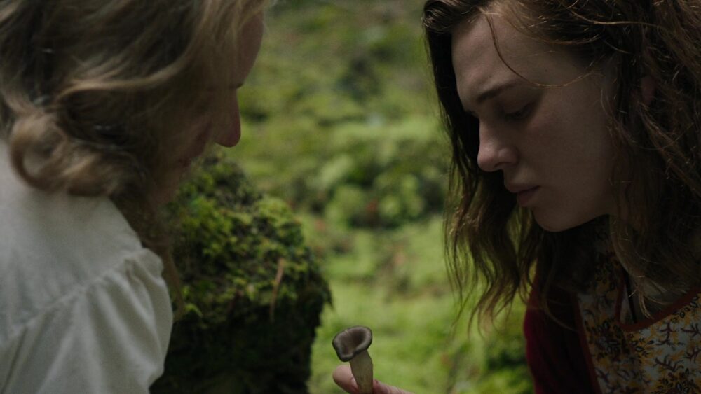 Shirley Review Perspektif Seorang Penulis Dalam Menciptakan Sebuah