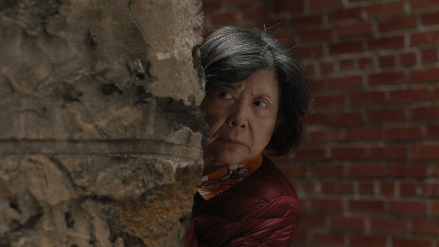 Lucky Grandma Review Aksi Kejarkejaran Seorang Nenek dan Para Mafia