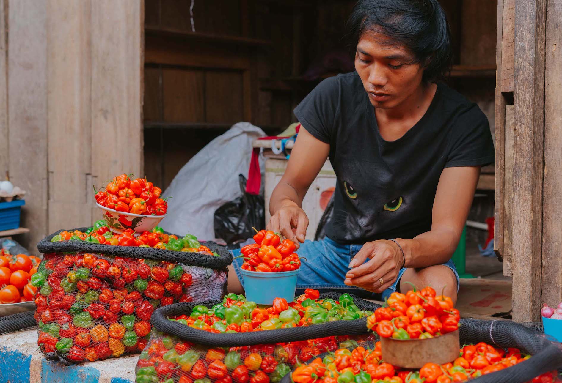 Lada Katokkon Jagoan Pedas dari Toraja