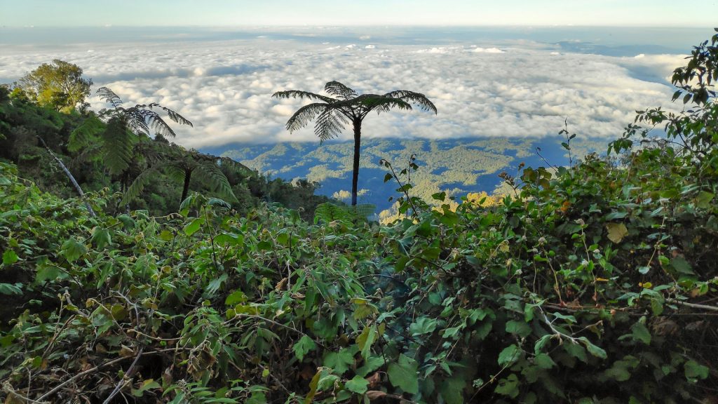 Gunung Raung