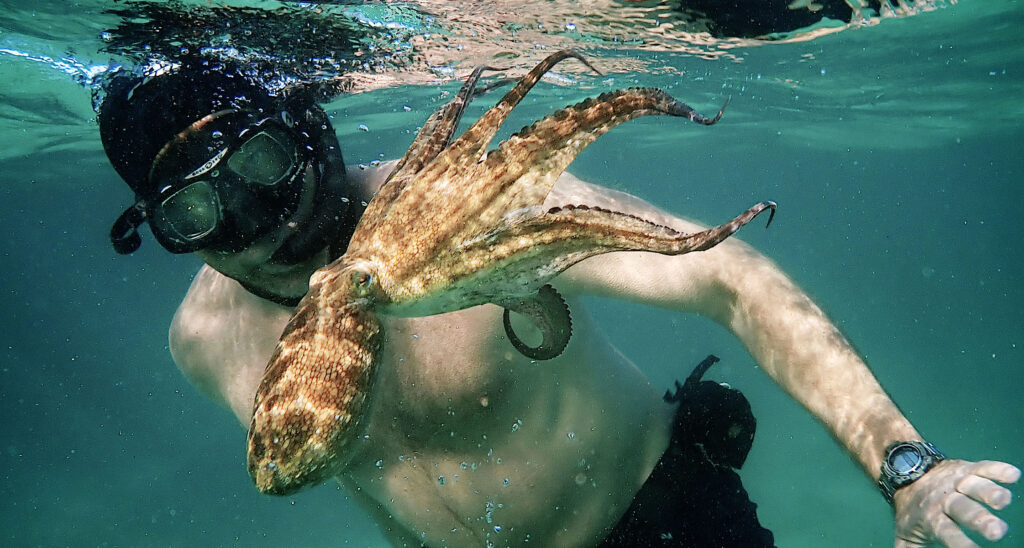 My Octopus Teacher ReviewMy Octopus Teacher Review