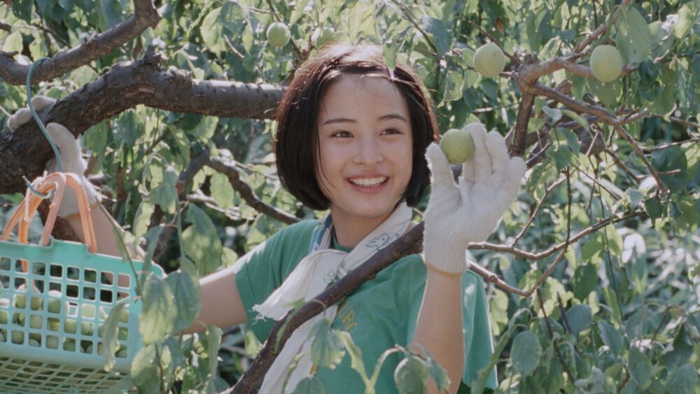 Our Little Sister Mozaik Kehidupan tentang Manisnya Persaudaraan Cultura