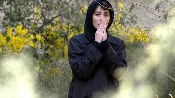 fireworks wednesday 2006